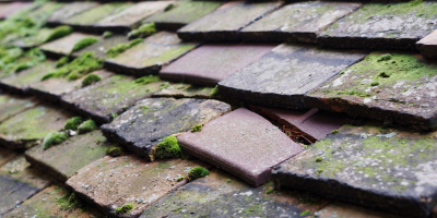 Cudham roof repair costs